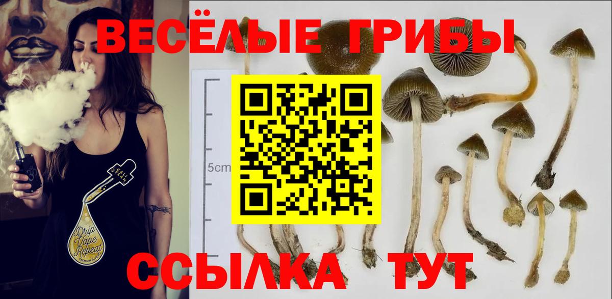 Великий Новгород  Псилоцибиновые грибы Magic Shrooms  закладка  Вход с VPN 